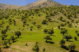 آرامش نوروزی در روستاهای استان ایلام