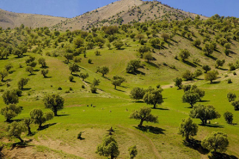 آرامش نوروزی در روستاهای استان ایلام