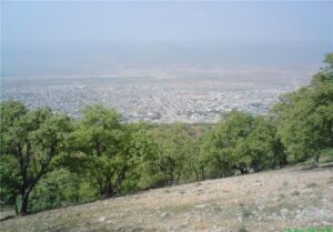 پارک جنگلی یاسوج ریه تنفسی شهر؛ فرصتی مغفول مانده یا چالشی جدی!