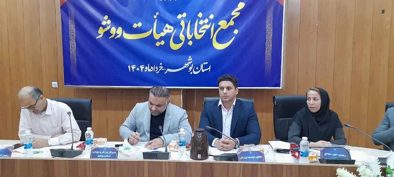 عباس حمزوی رئیس هیئت ووشو بوشهر شد