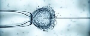 تولد 8 نوزاد که هر یک DNA سه نفر را داشتند