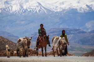 عشایر ایران زیبایی و لذت زندگی در طبیعت
