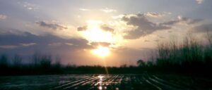لحظاتی آرام در روستای آبکنار و اشپلا ، جنوب تالاب انزلی