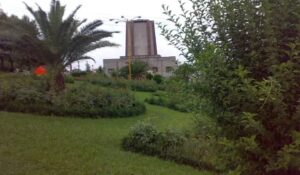 کاشف السلطنه؛ کاشف چای در ایران