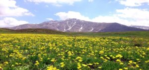 پارک ملی لار جلوه ای از بهشت