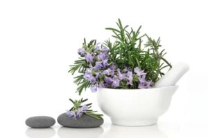 گیاهان دارویی استان گلستان