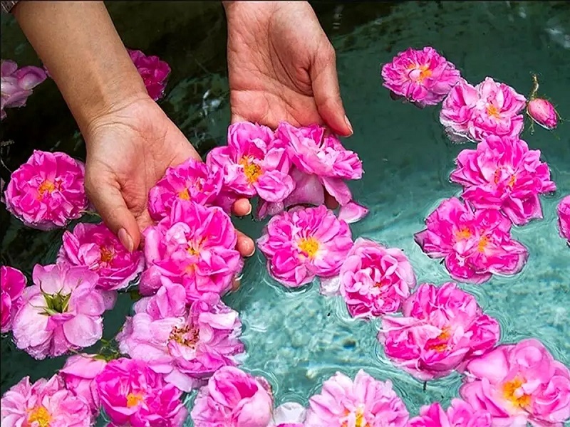 گلاب اصل ؛ راهنمای تشخیص گلاب خالص کاشان و میمند