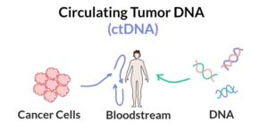 ctDNA چیست و چرا به یکی از ارکان پزشکی دقیق تبدیل شده