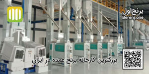مزایای خرید برنج ایرانی از کارخانه چیست؟