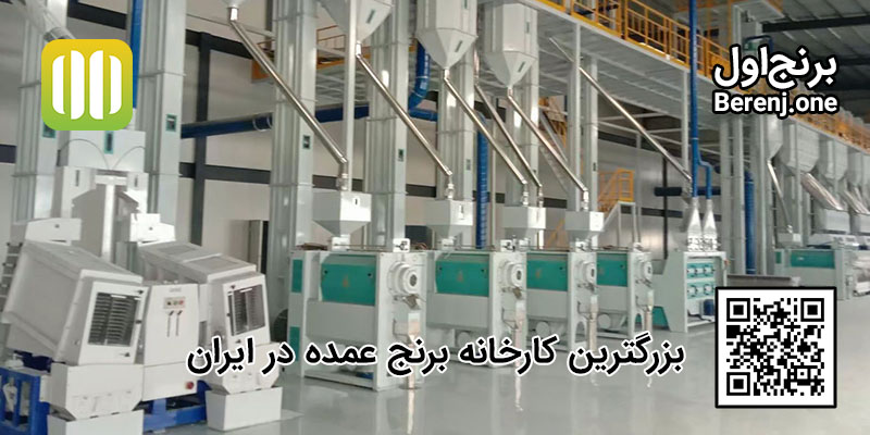 مزایای خرید برنج ایرانی از کارخانه چیست؟