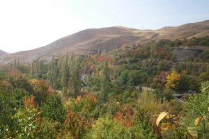 روستای دیزباد؛ با سواد ترین روستای ایران