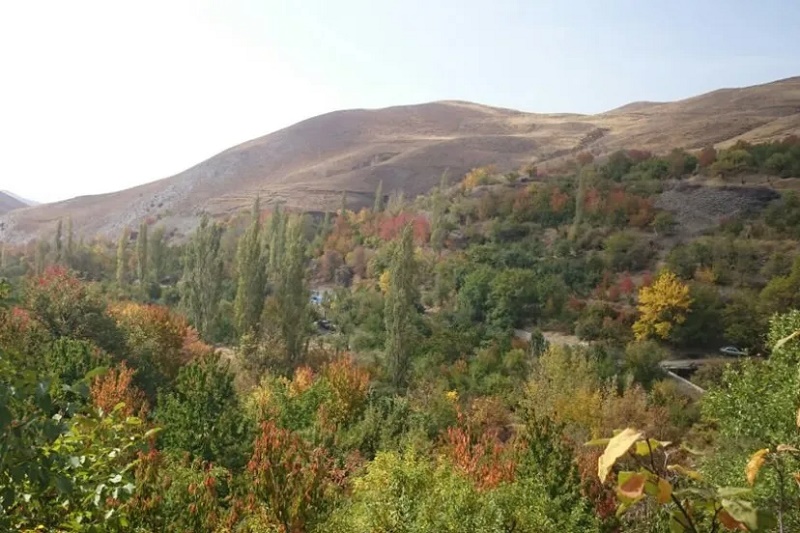 روستای دیزباد؛ با سواد ترین روستای ایران